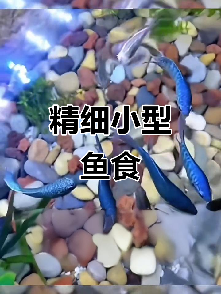 小型鱼饲料,适合各种热带观赏鱼的精致颗粒