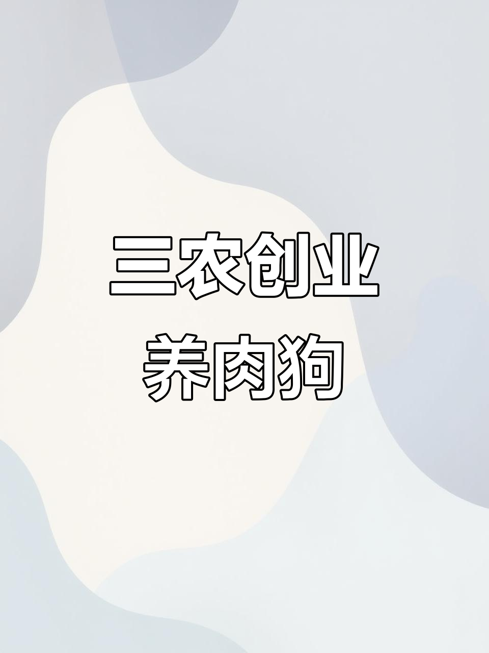 肉狗养殖创业,黄土地上的致富路
