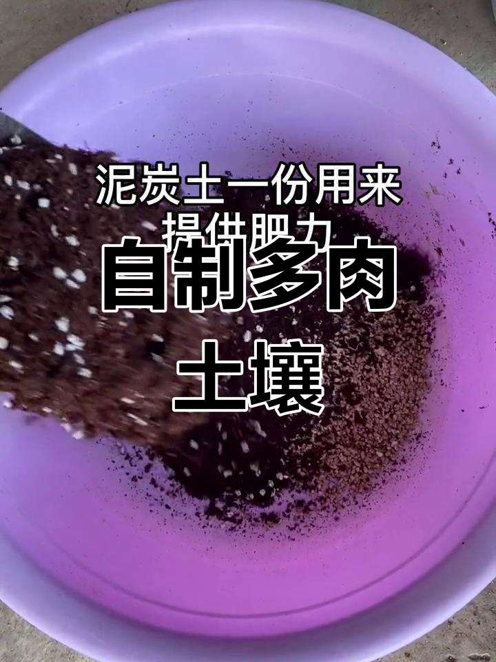 多肉颗粒土自制配方