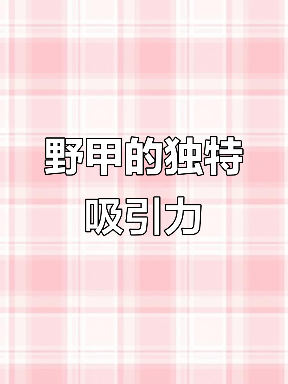 野生甲鱼独特魅力，让人无法抗拒的自然之美