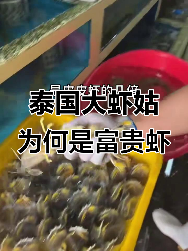 为什么泰国大虾菇叫富贵虾,国产皮皮虾却没这待遇?