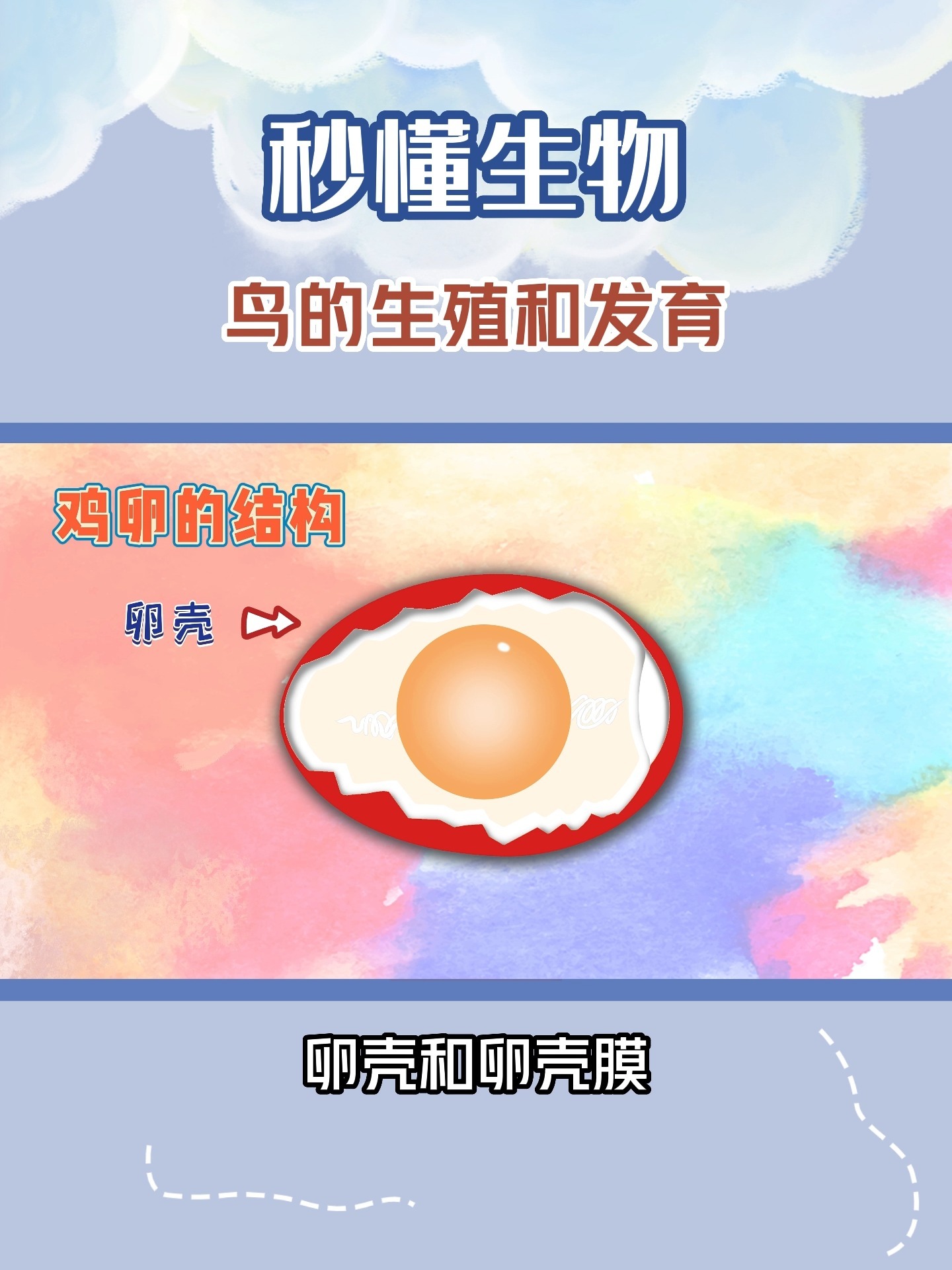 秒懂鸟的生殖和发育