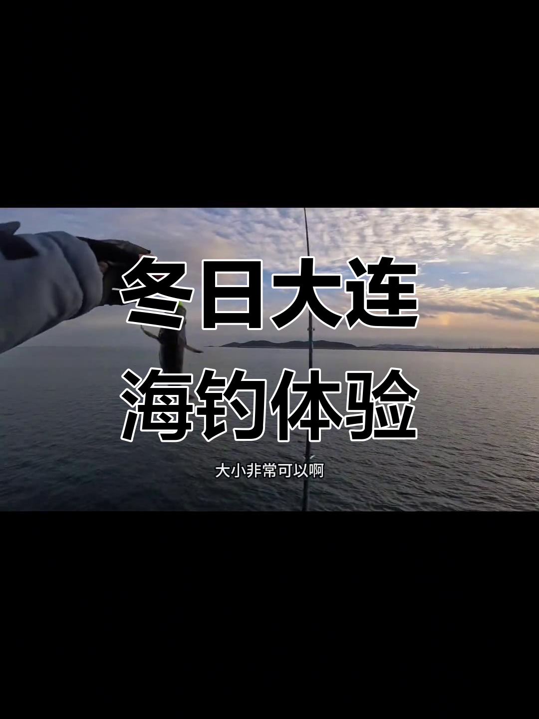 大连冬季海钓乐趣多,黑鱼轻松上钩