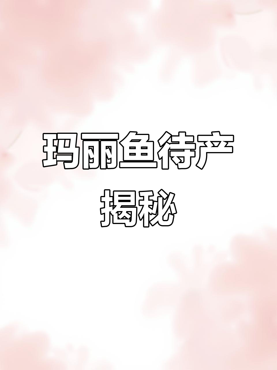 玛丽鱼即将生产,看看她的变化和准备