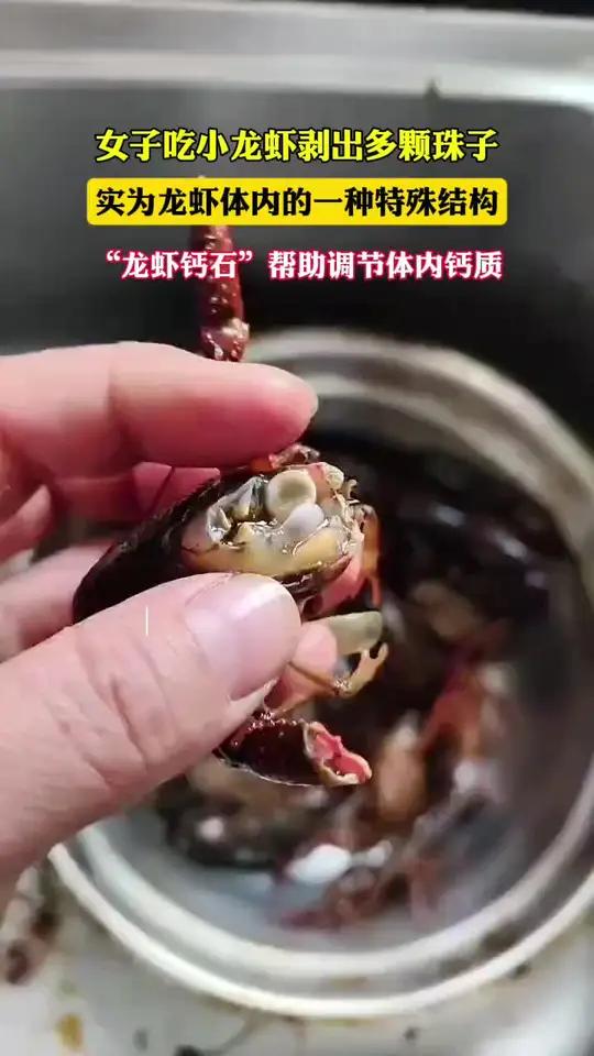 女子吃小龙虾竟剥出多颗珠子,实为龙虾体内的一种特殊结构“钙石”(都市报道)