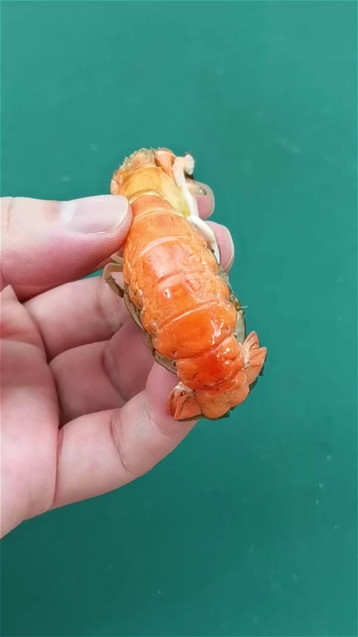 泸沽虾最正确得吃法应该是这样的