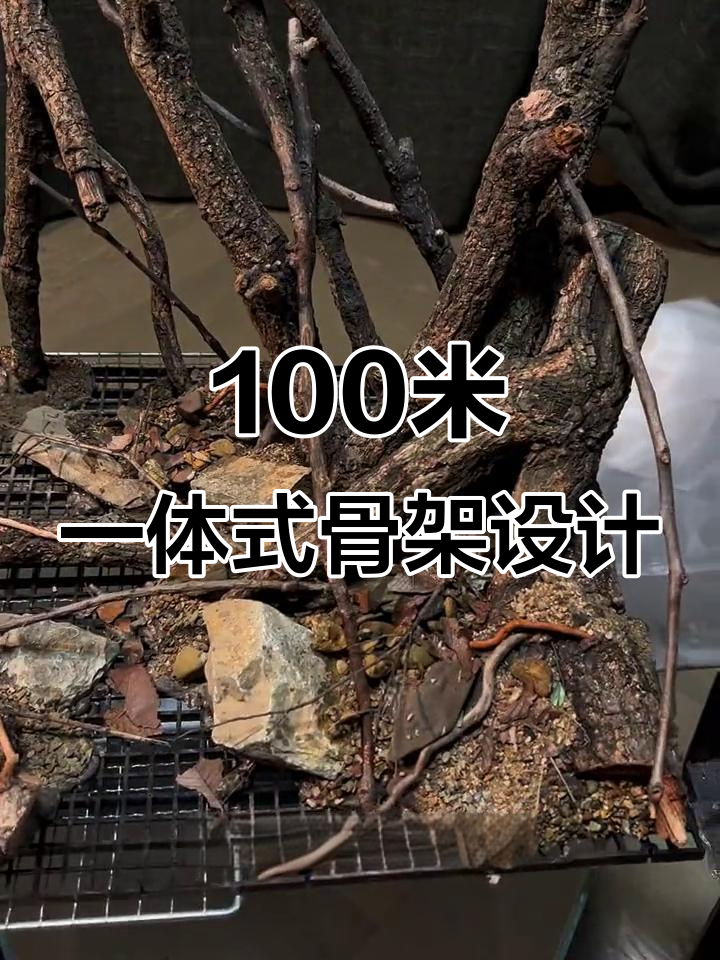 一米森林风格鱼缸造景，细节满满，视觉冲击力极强