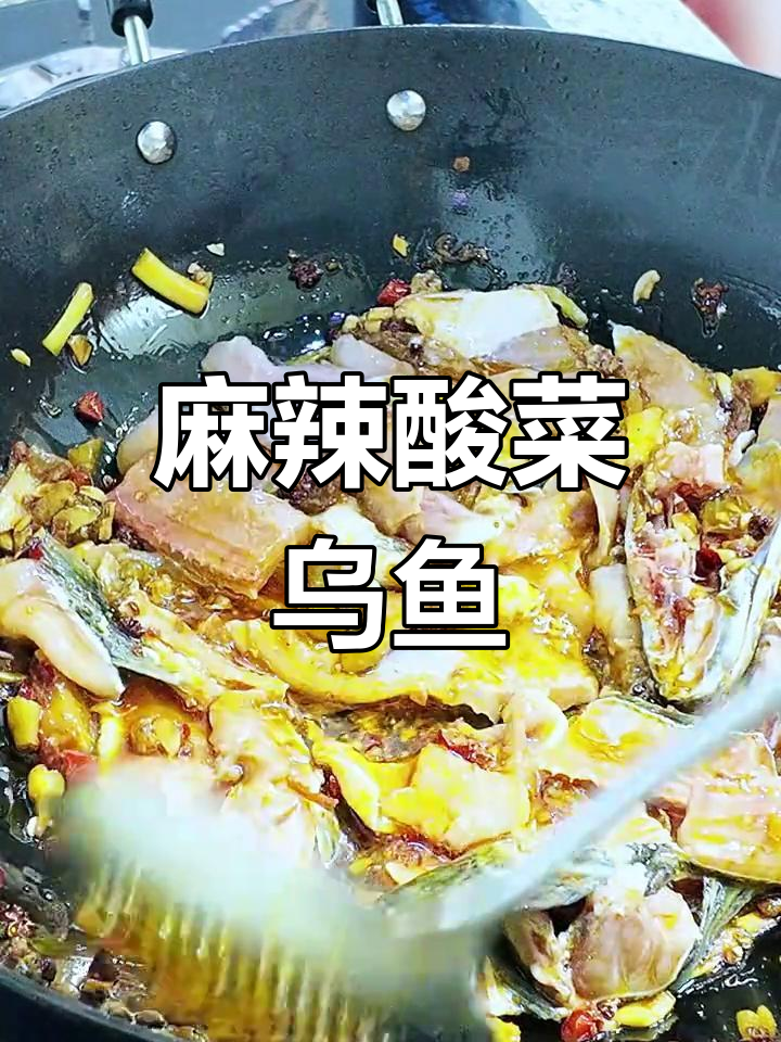 麻辣酸菜乌鱼,鲜美开胃,吃一次就停不下来!