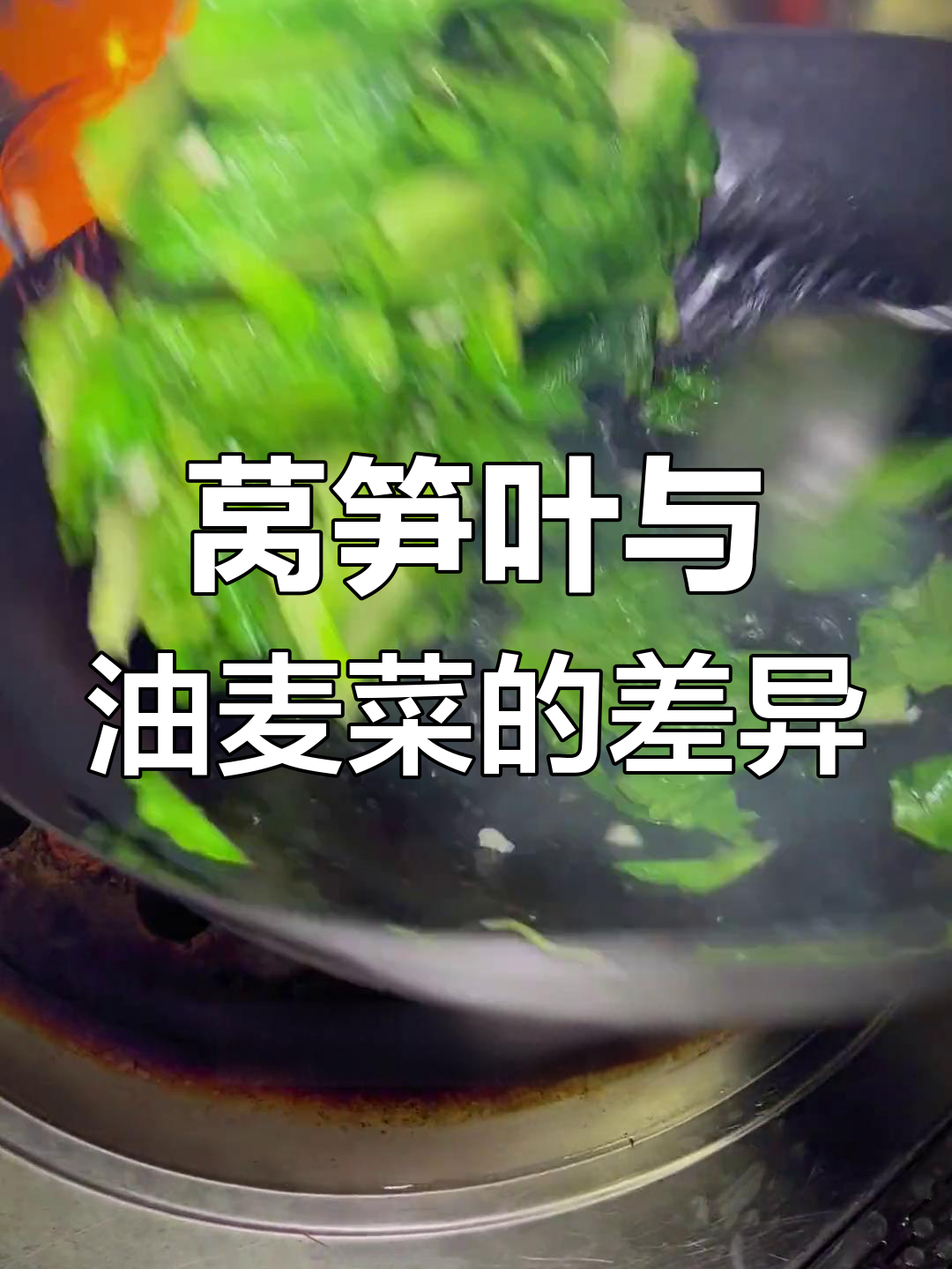 莴笋叶与油麦菜虽像,实则不同。教你一招区分它们!