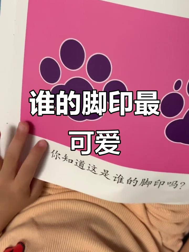 小鸡小鸭小猫小狗的脚印大比拼，你能猜出是谁的吗？