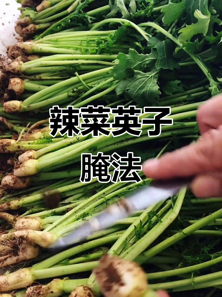 芥菜英子这样做不烂,炖豆腐做咸菜都超好吃