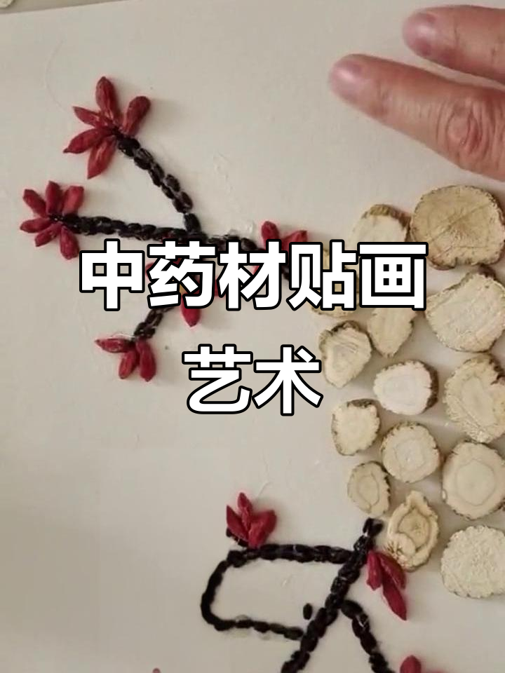 中药材创意粘贴画,展现传统魅力