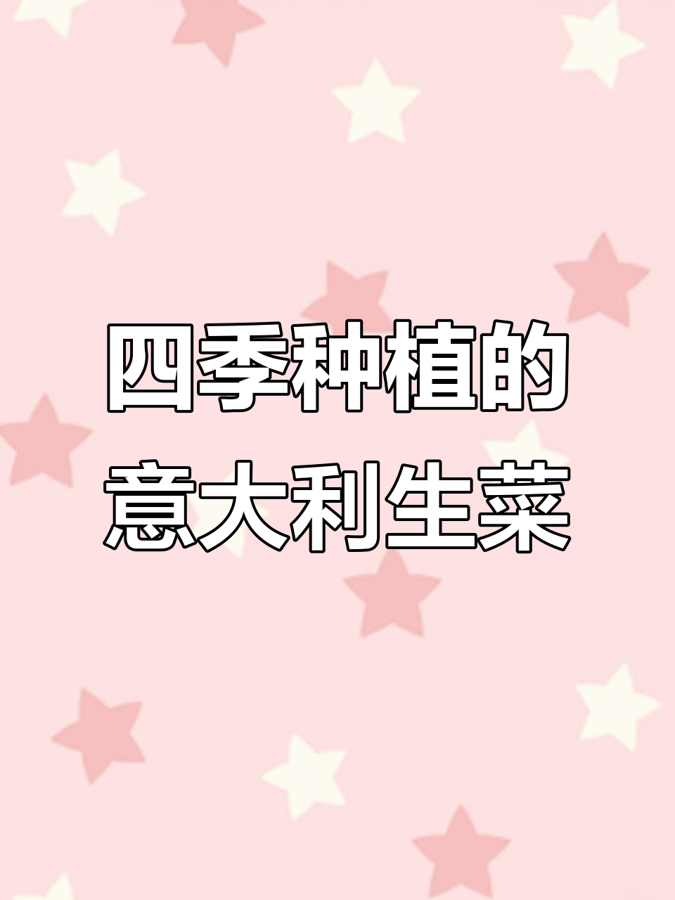 意大利生菜:四季皆可种,叶片厚实口感好