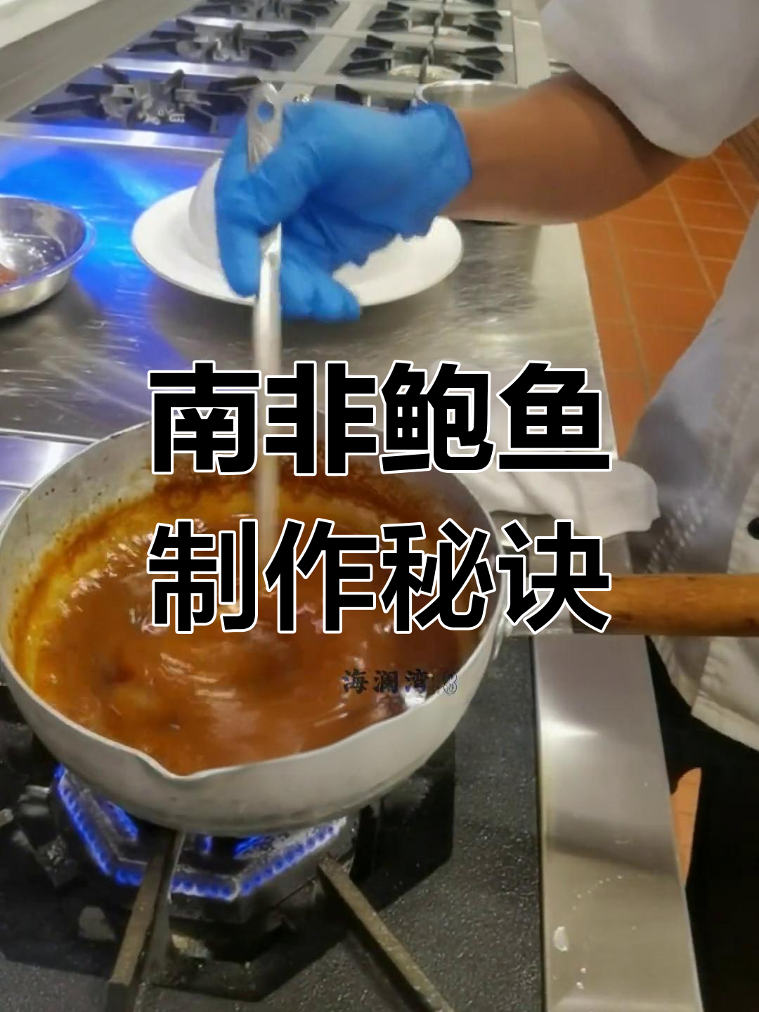 八头南非鲍鱼大揭秘:如何炖出完美口感