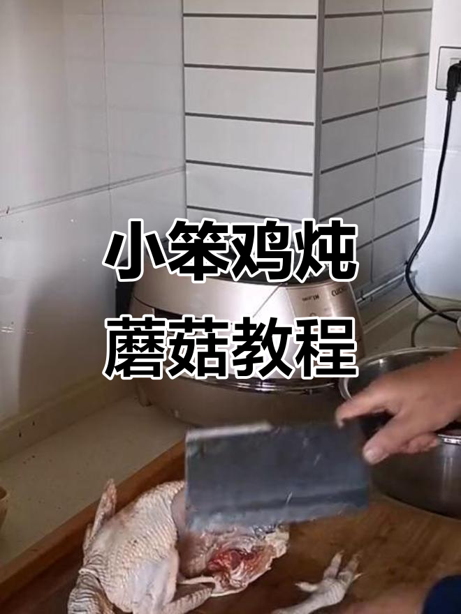 东北小笨鸡炖蘑菇,教你如何清洗公鸡肉和准备食材