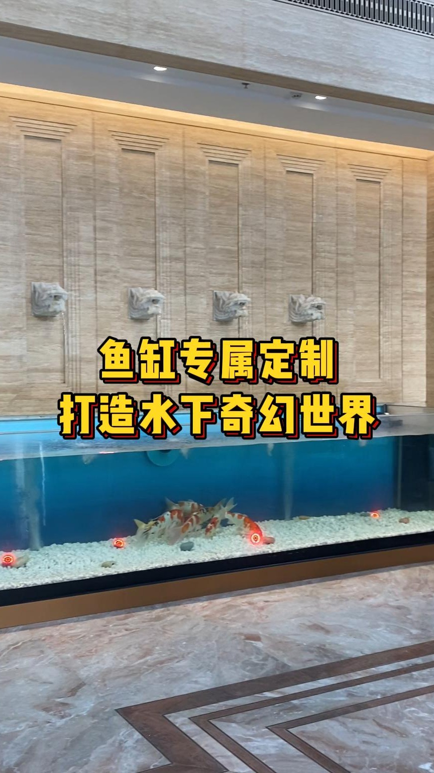 鱼缸专属定制,打造清澈透亮的水下世界