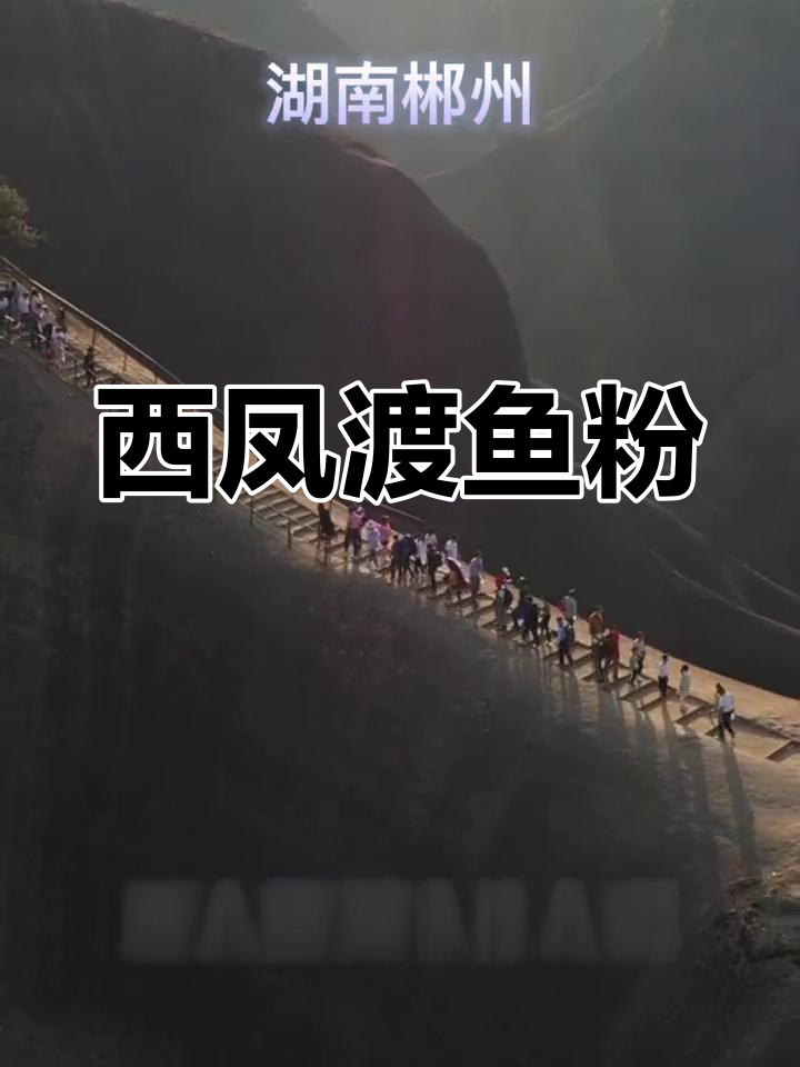 郴州特色美食:鱼粉与米粉的完美融合