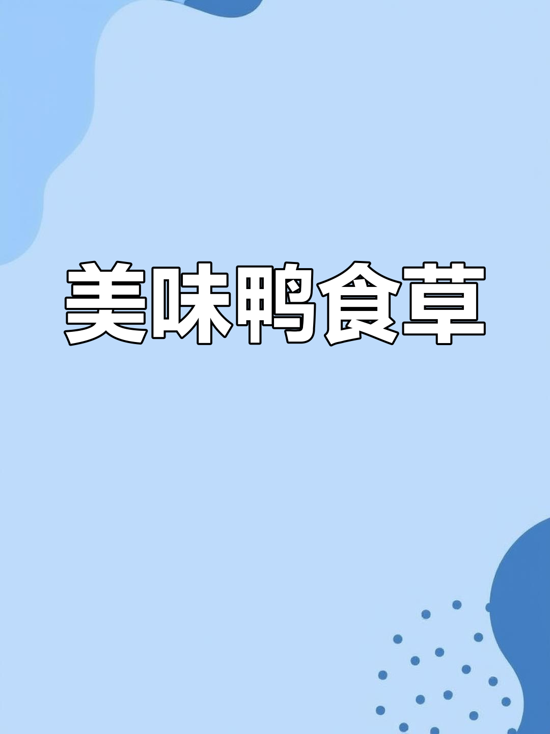 鸭食草:比马齿苋更美味的野菜,嫩叶清炒煮汤都超赞