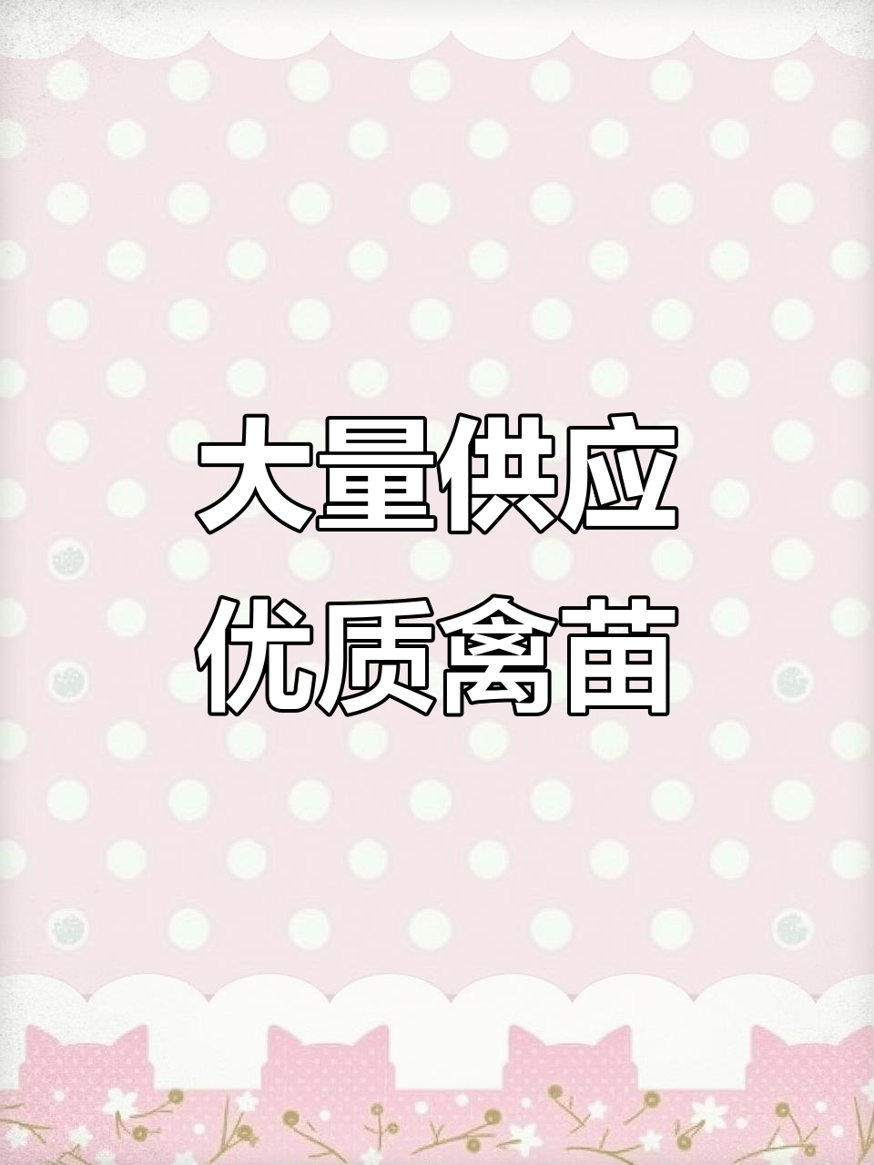 义龙试验区朝胜养殖场:大量供应鸡鸭鹅苗,品质优良