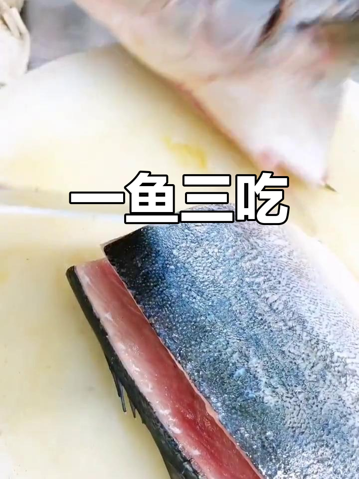 大马哈鱼三种吃法,鲜美无比