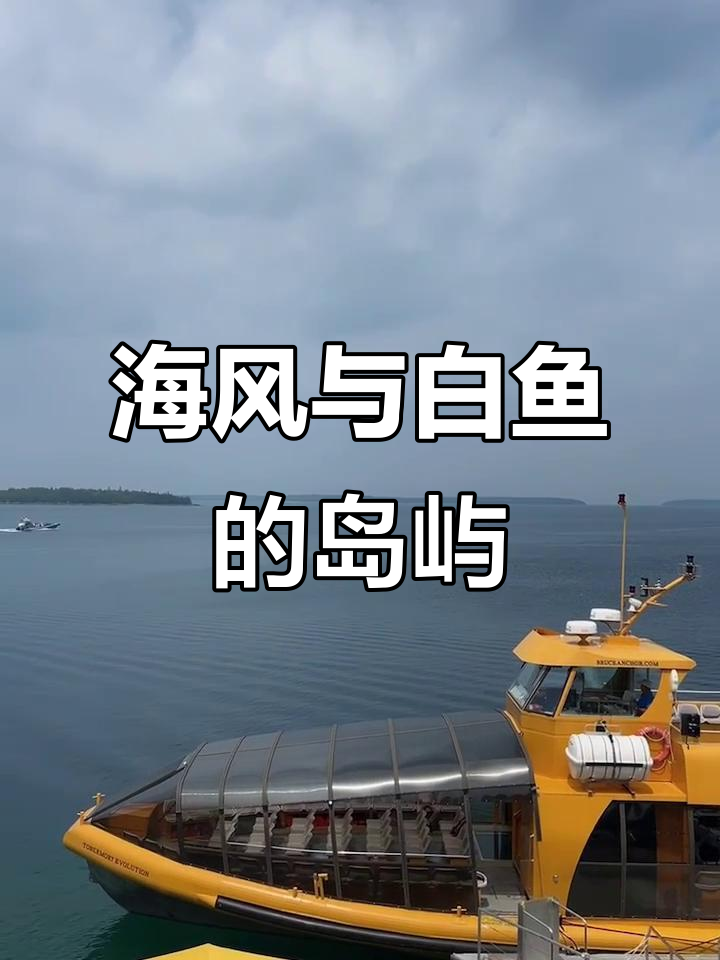 花瓶岛一日游,海风白鱼相伴,轻松徒步或悠闲拍照