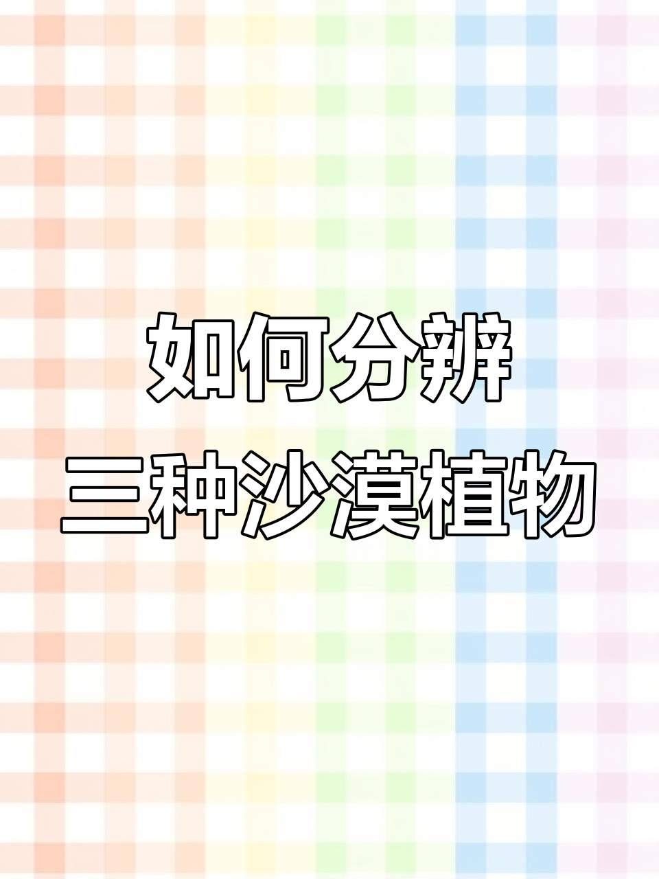 肉苁蓉、管花茸和锁阳的辨别技巧,沙漠植物如何区分