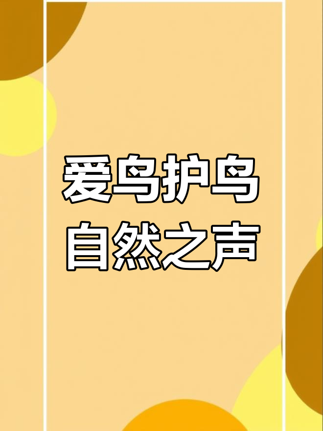 竹鸡公母合鸣,聆听大自然的声音