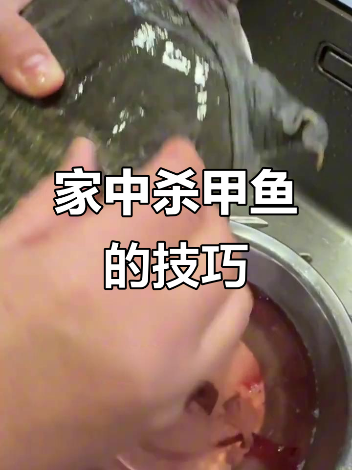 家庭版甲鱼杀法,2.5斤大甲鱼轻松搞定