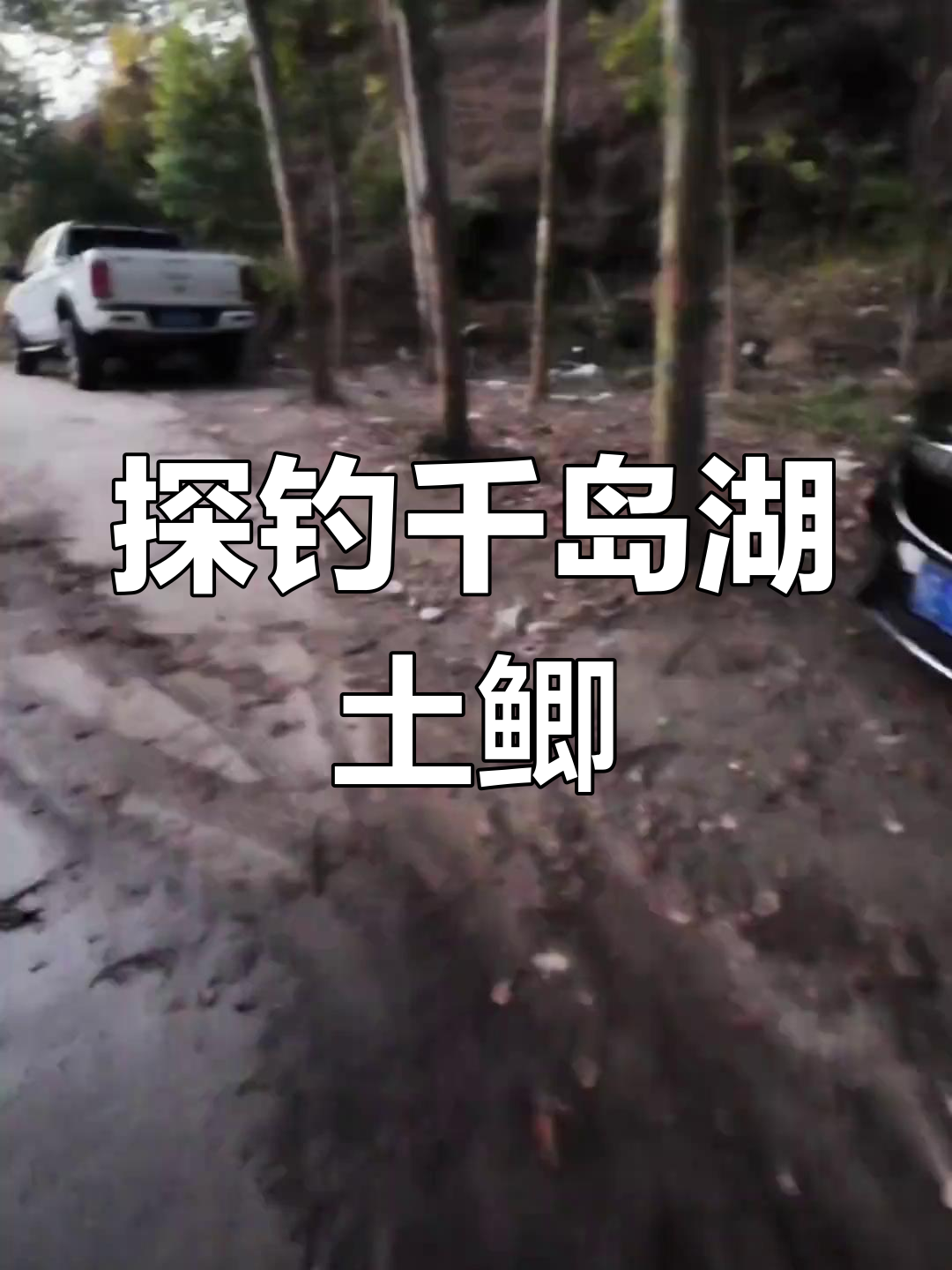 千岛湖钓鲫鱼技巧,温差大如何选位打窝