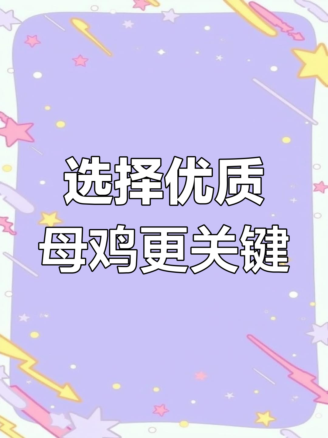 母鸡比公鸡更重要,选对血统才能出好斗性