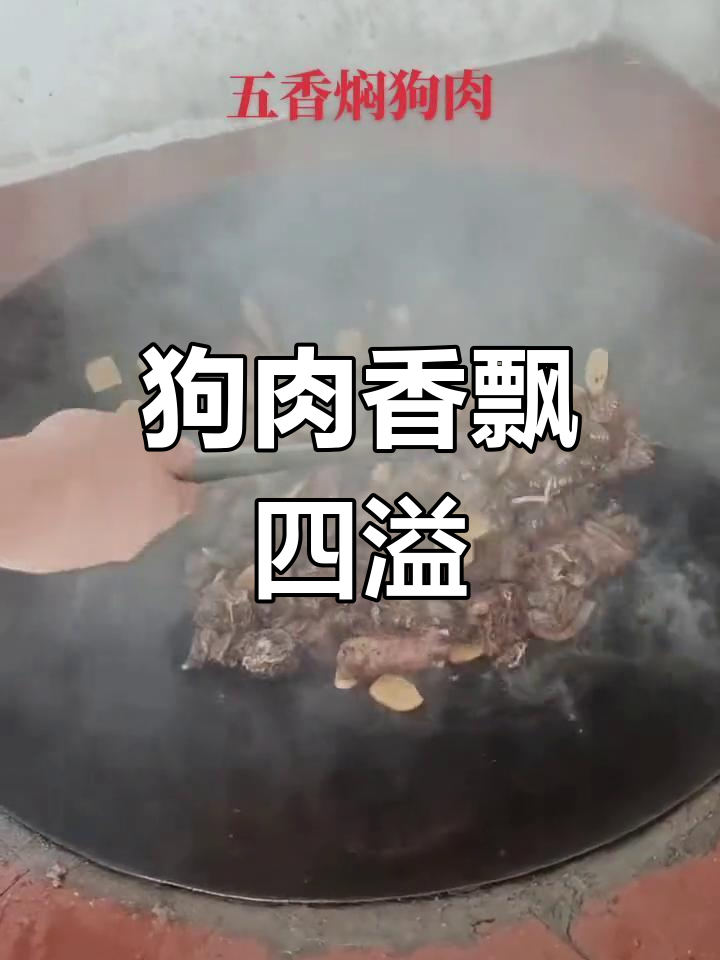 广东柴火焖狗肉,香气扑鼻,连神仙也难以抵挡