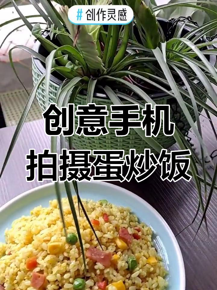 手机拍摄蛋炒饭,轻松拍出时尚感
