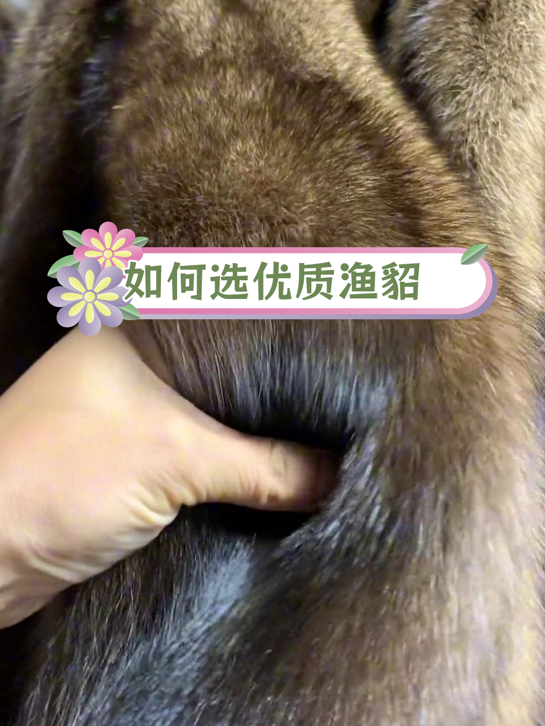 渔貂皮草选购指南:如何挑选高品质鱼雕