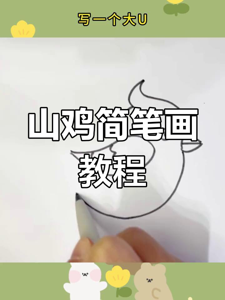 简单几步画出山鸡