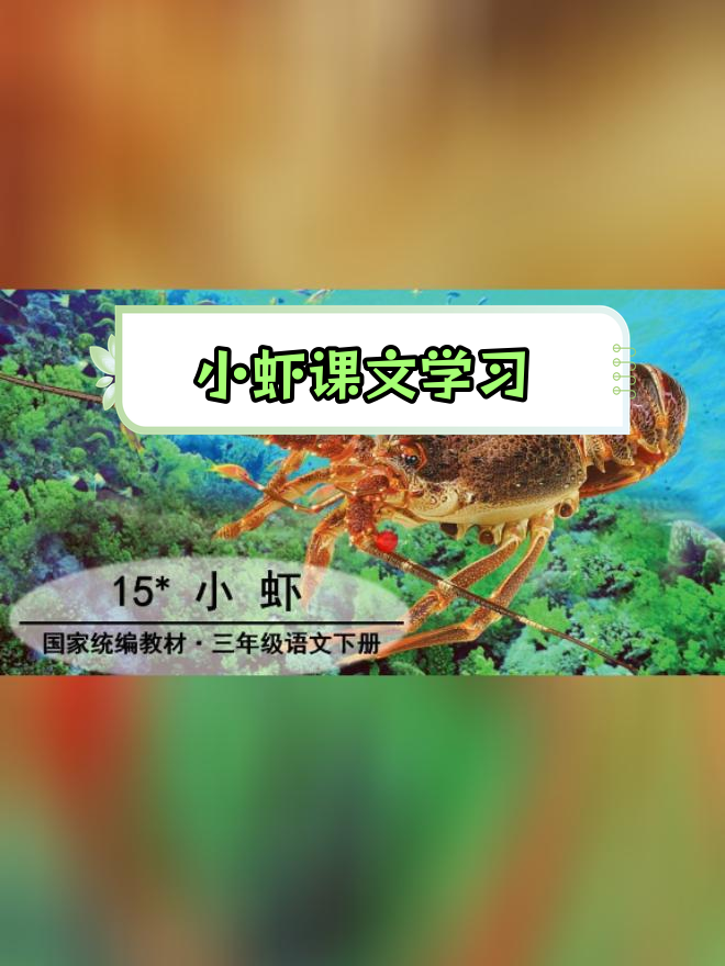 三年级语文下册第十五课《小虾》知识点解析