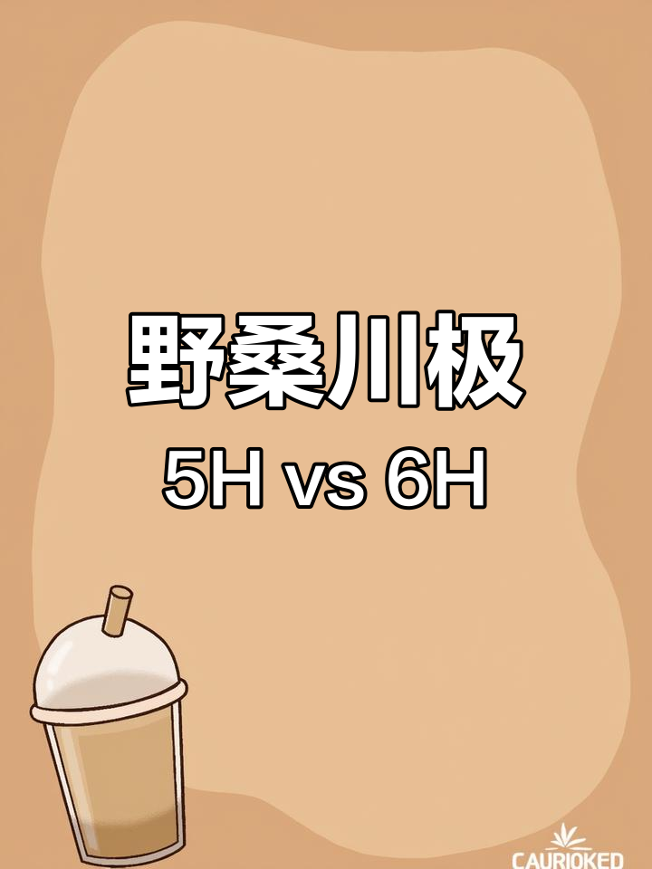 野桑川极5H与6H钓竿对比,选哪款更合适?