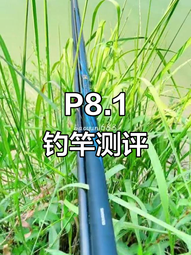禧玛诺刀雅P8.1钓竿评测：挑战大物，轻松应对