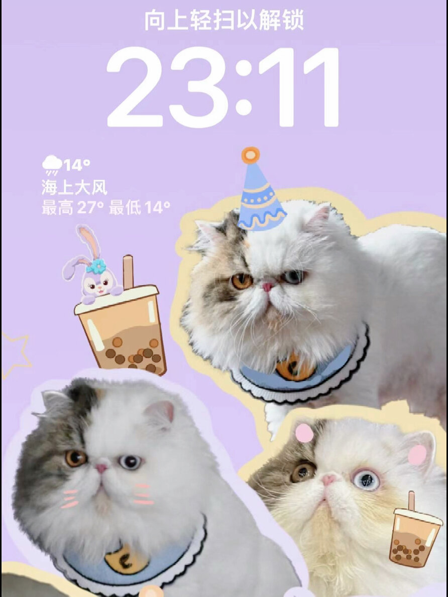 可可爱爱的猫咪手绘壁纸 珍珠奶茶系列