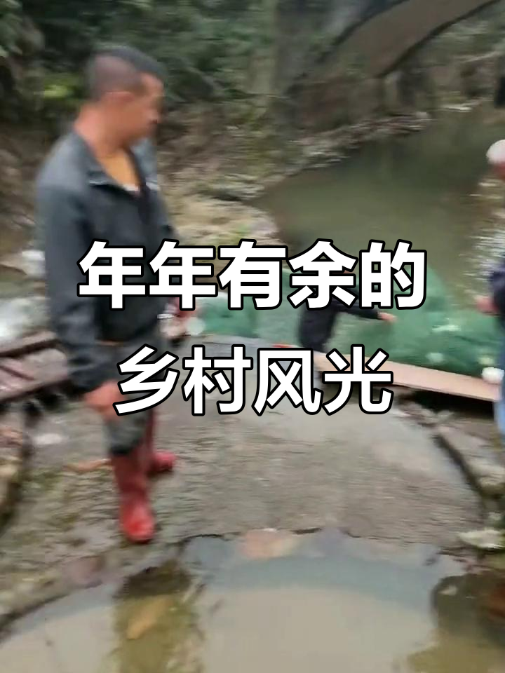 乡村生活，年年有鱼，山清水秀的自然美景
