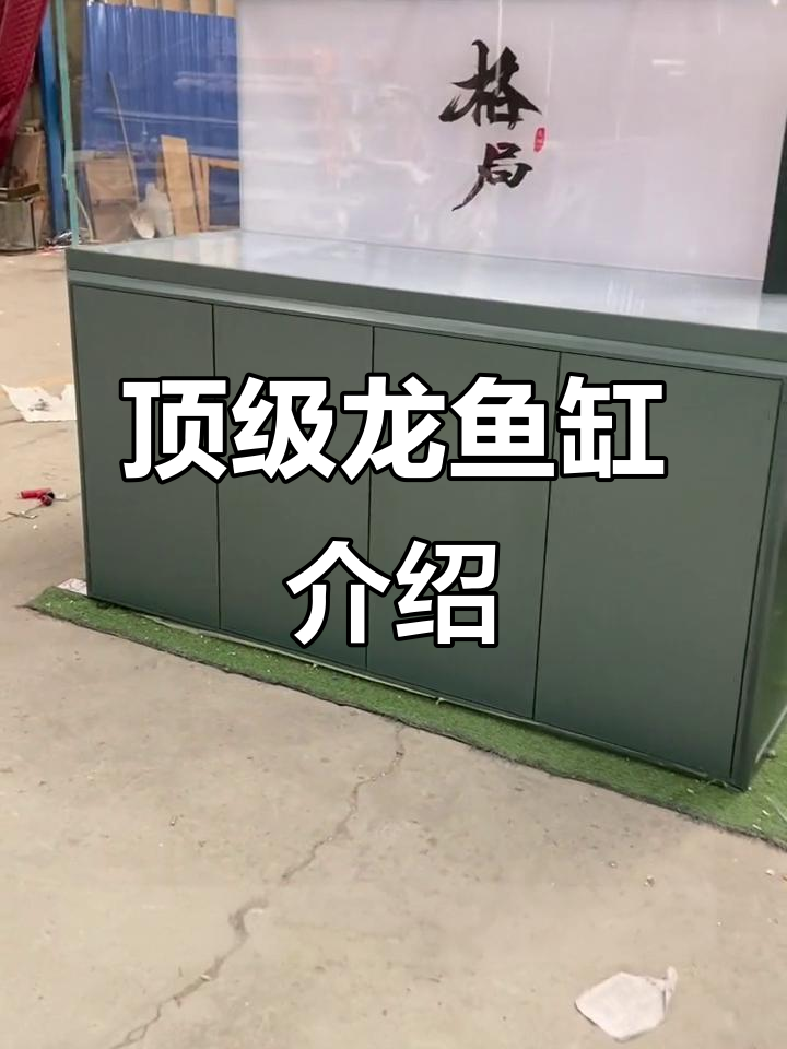 龙鱼缸全解析:超强干湿分离与循环系统