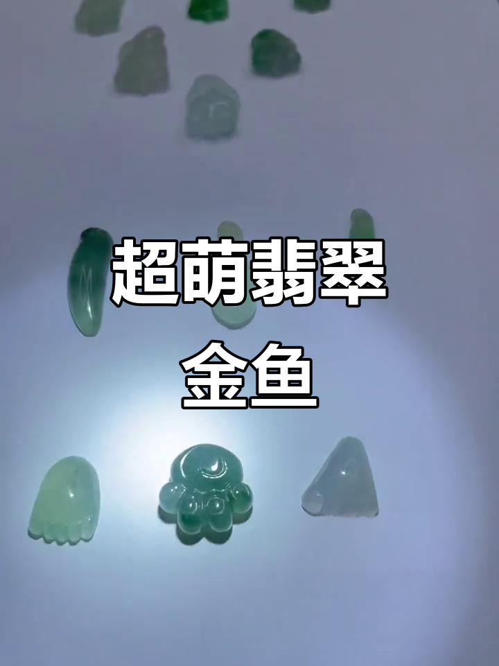 翡翠金鱼满堂,超可爱小精品