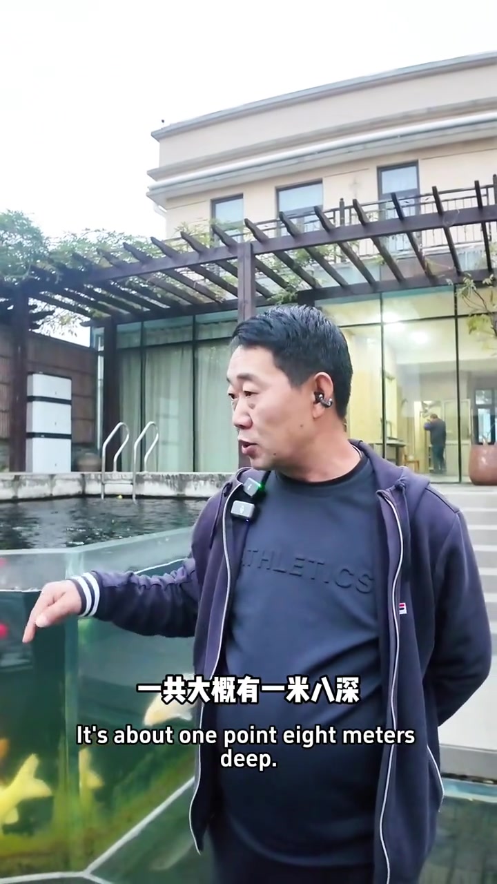外网疯传的上海网红亚克力锦鲤鱼池！上海荔虹锦鲤马鑫先生带着我们拜访上海鱼友家里的网红鱼池，
