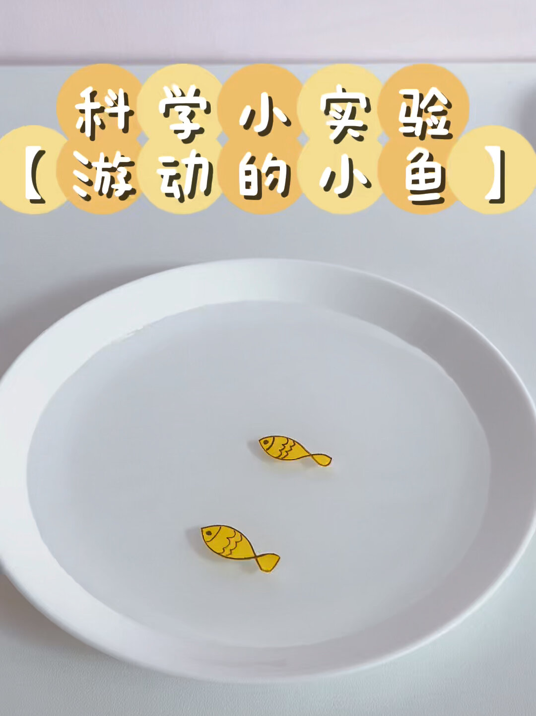科学小实验|游动的小鱼