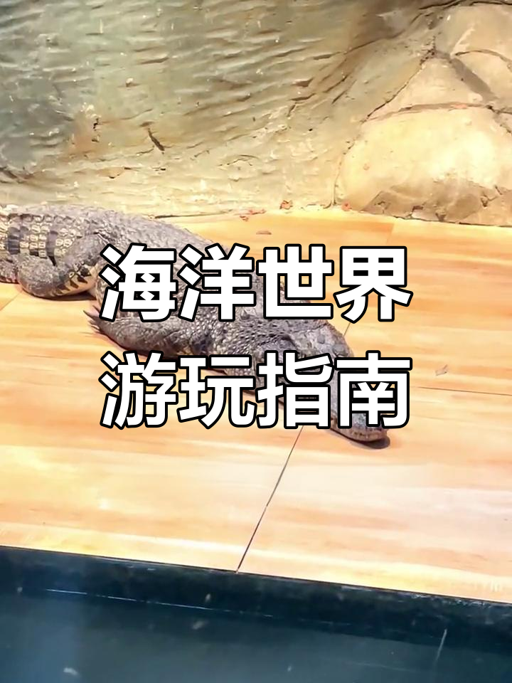 中泰海洋世界全攻略:油蛙、淡水鱼与热带鱼的奇妙之旅