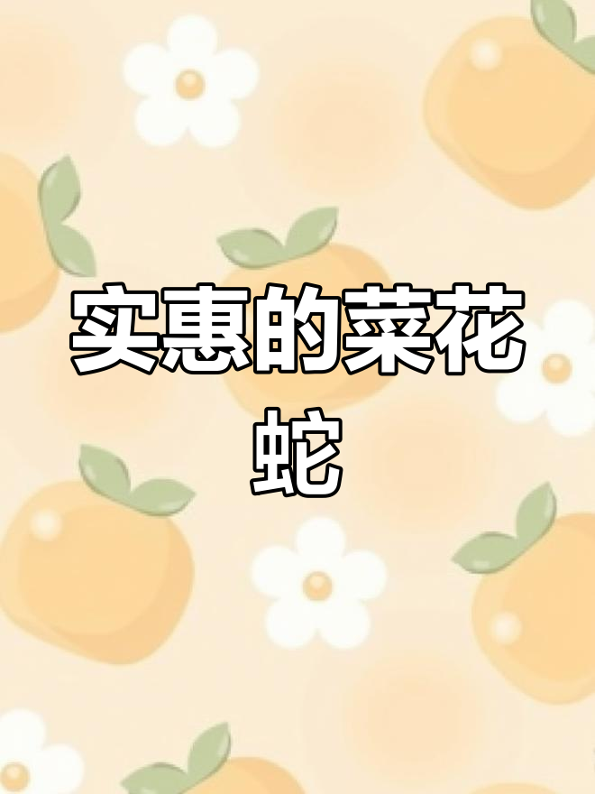 菜花蛇,价格亲民,值得考虑!