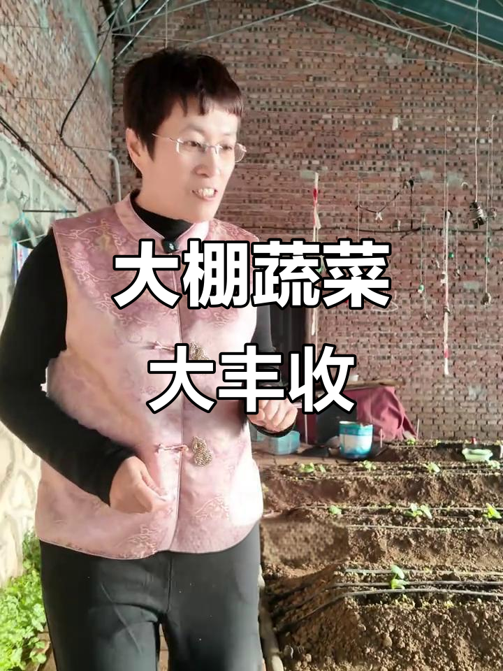 冬季大棚蔬菜丰收，老人火锅必备新鲜食材