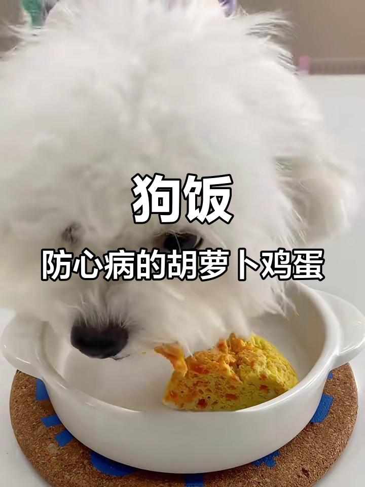 胡萝卜鸡蛋羹,狗狗心脏病预防秘方
