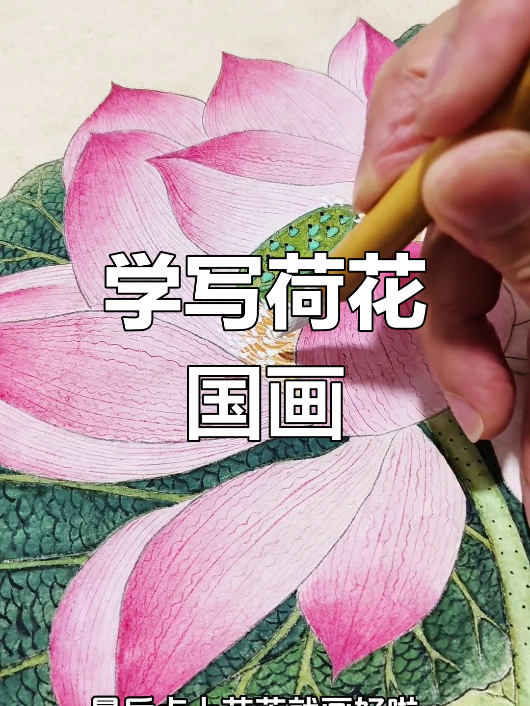 夏日荷花画法,轻松画出美丽荷景