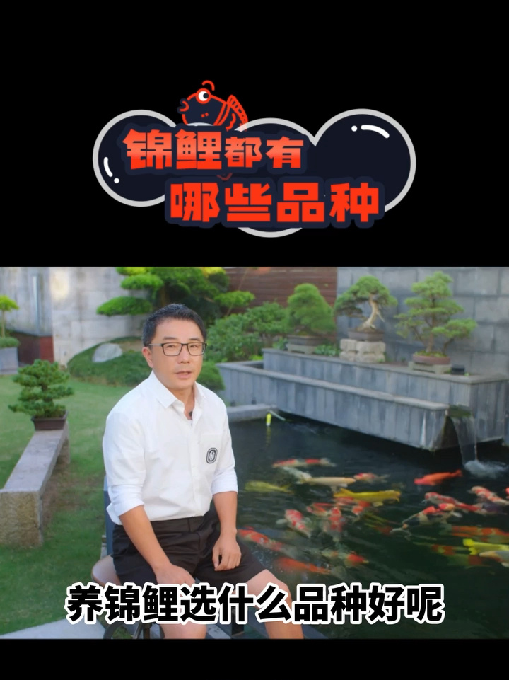 锦鲤都有哪些品种?