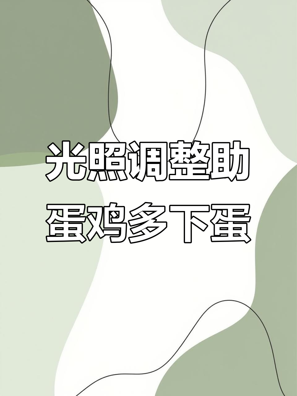 秋季光照管理,提高蛋鸡产蛋率的小技巧